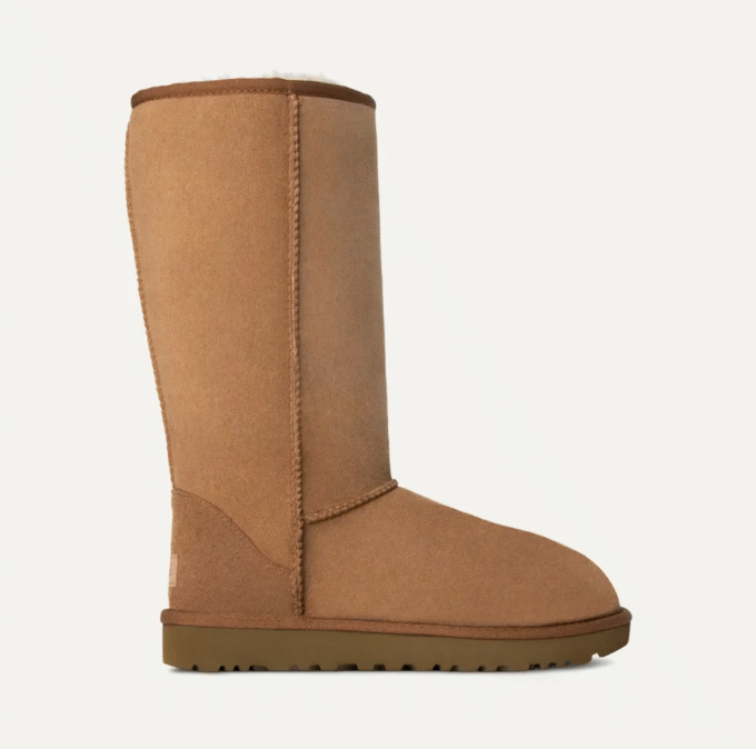 Bottes Classic Tall II