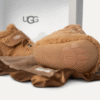 Peluche Bixbee et Lovey Bear
