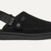 Sabot Goldenstar