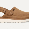 Sabot Goldenstar