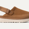 Sabot Goldenstar