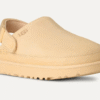 Sabot Goldenstar