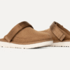 Sabot Goldenstar