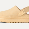 Sabot Goldenstar
