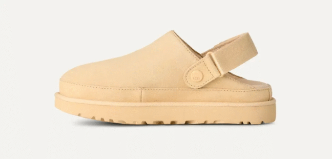 Sabot Goldenstar