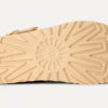 Sabot Goldenstar