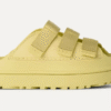 Toboggan GoldenGlow