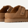 Toboggan Goldenstar Hi