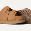 Toboggan Goldenstar Hi