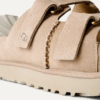 Toboggan Goldenstar Hi