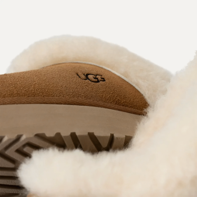 UGG Discette
