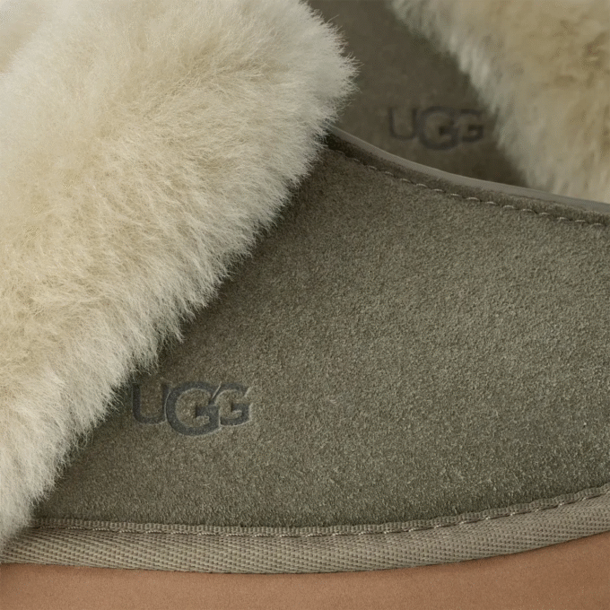 UGG Discette